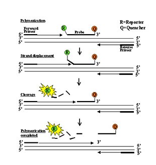 凯时KB88·(中国区)官方网站